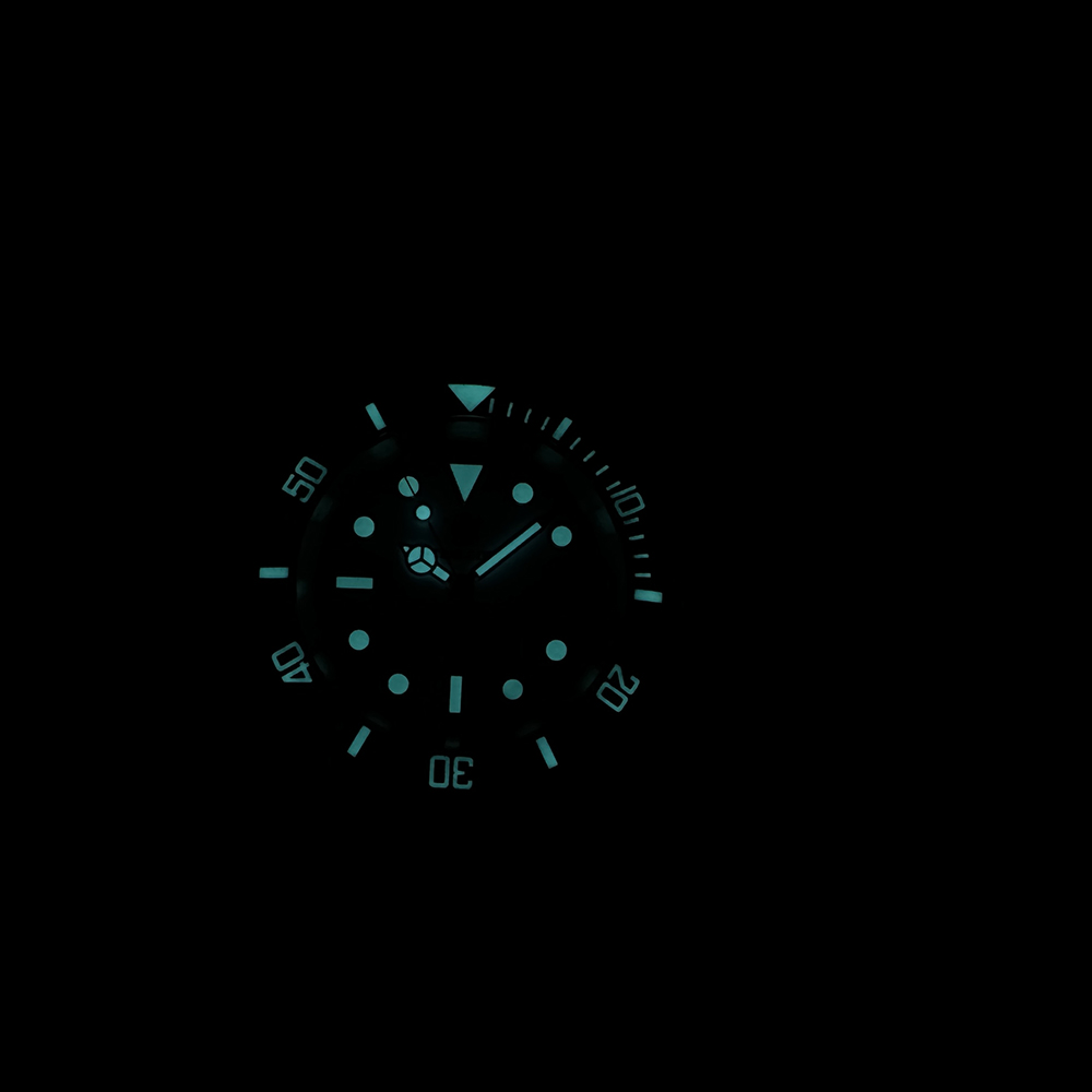 STEELDIVE Official SD1953C Dive Watch