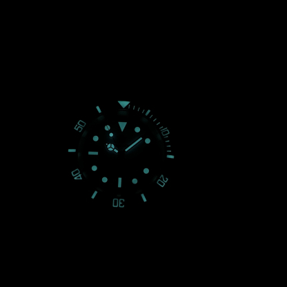 STEELDIVE Official SD1953C Dive Watch