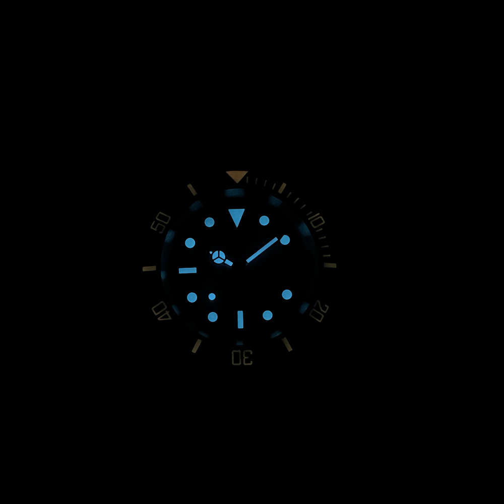 STEELDIVE Official SD1953C Dark Purple Dial 300M Waterprof Japan NH35 Automatic Mens Dive Watch