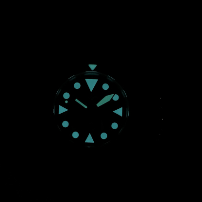 STEELDIVE Official SD1987S Dive Watch