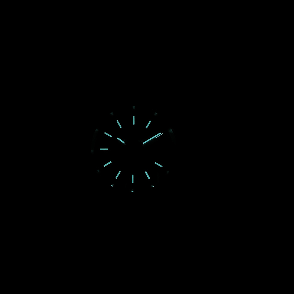 STEELDIVE Official SD1934 Luxurious Men's Automatic Watch NH35 200m Waterproof Analog Luminous Watches 