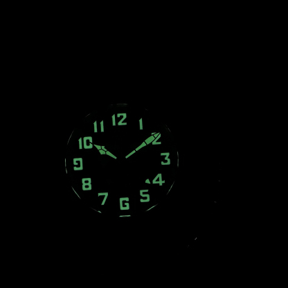 STEELDIVE Official SD1903 Dive Watch