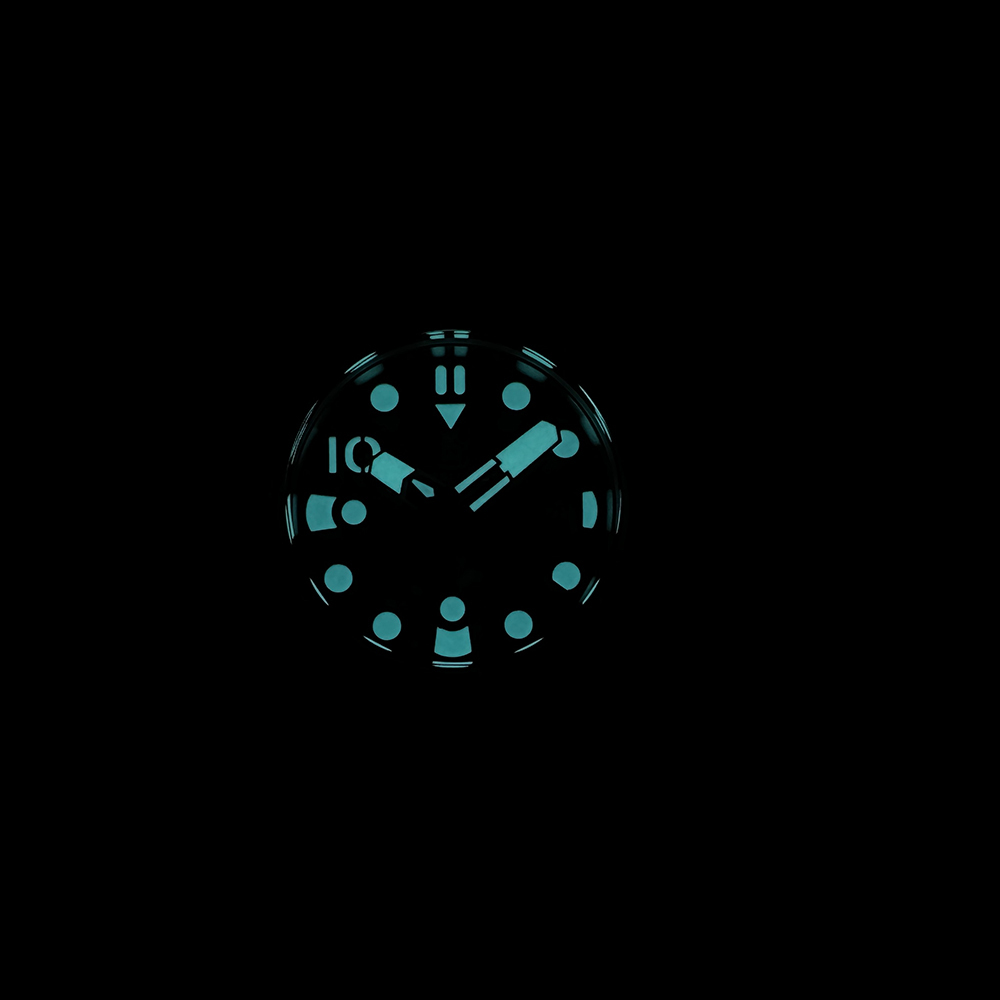 STEELDIVE Official SD1920 Number Dial 24MM Thick Case 1000M NH35 Dive Watch