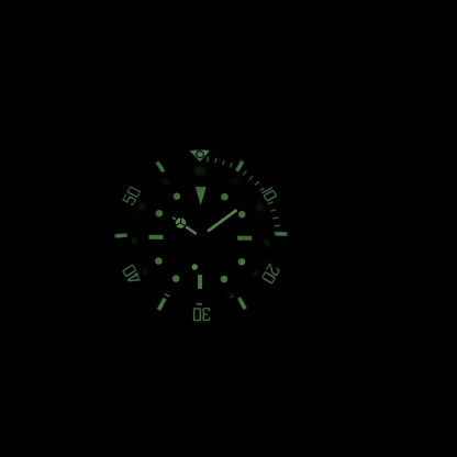 STEELDIVE Official SD1954V Dive Watch