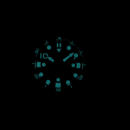 STEELDIVE Official SD1982 Dive Watch