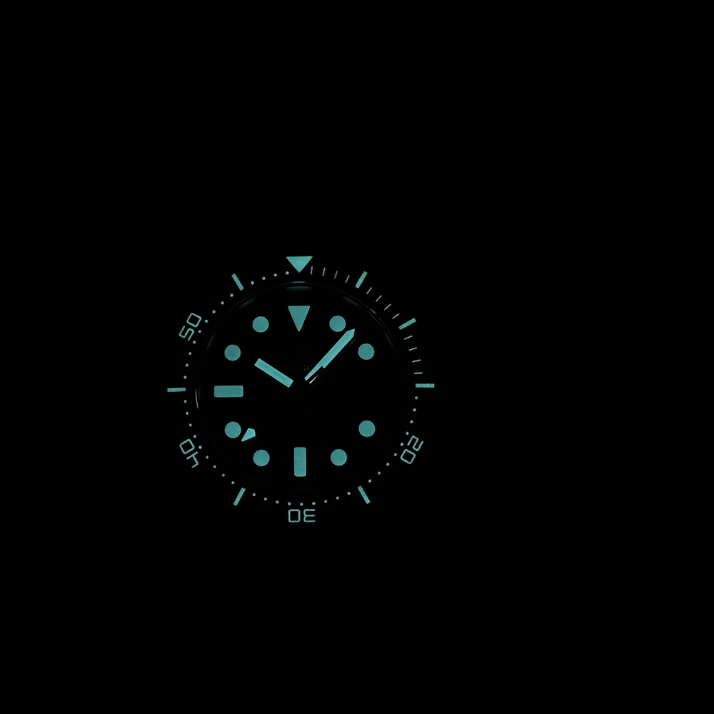 STEELDIVE Official SD1929 Black Dial 42mm Case 300M Waterproof NH35 Automatic Mens Dive Watch