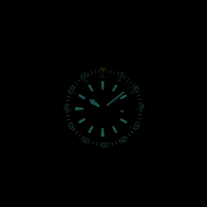 STEELDIVE Official SD1983 Purple Dial Sapphire Glass 1000M Water Resistant NH35 Automatic Dive Watch 