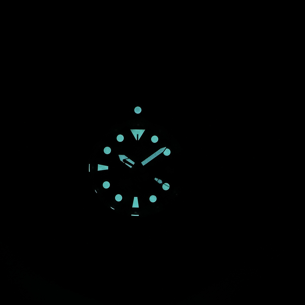 STEELDIVE Official SD1971S Dive Watch