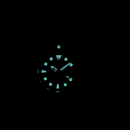 STEELDIVE Official SD1971S Dive Watch