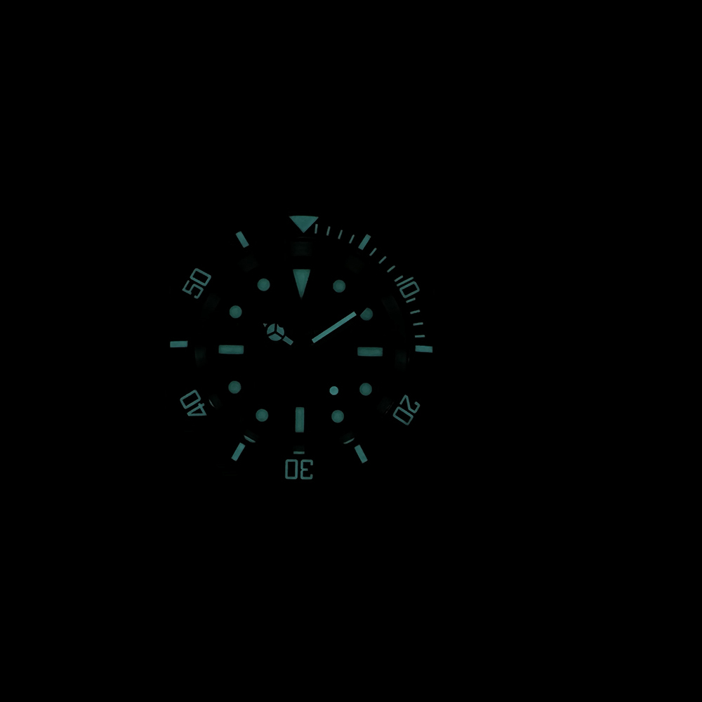 STEELDIVE Official SD1954 Dive Watch