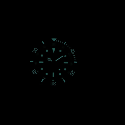 STEELDIVE Official SD1954 Dive Watch
