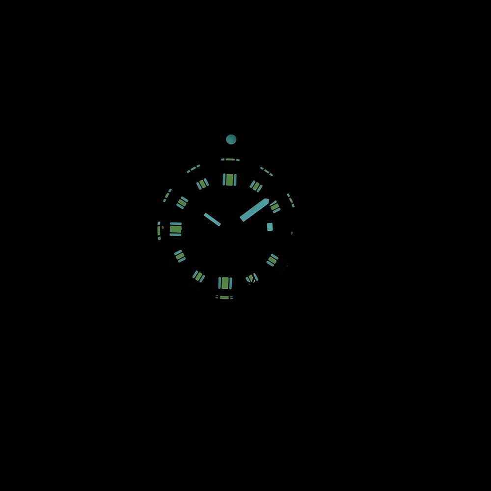 STEELDIVE Offiical SD1967GMT Dive Watch