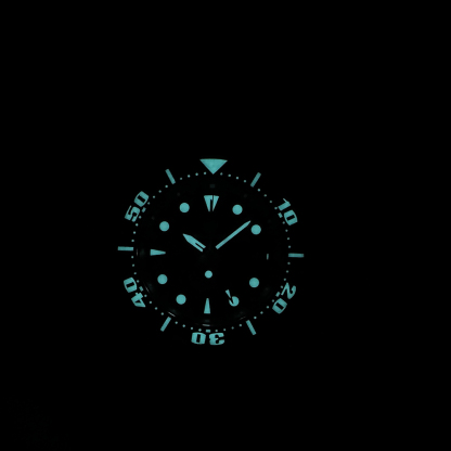 STEELDIVE Official SD1971GMT 44.9MM Swiss Luminous Ceramic Bezel Sapphire Glass 200M NH34 GMT Dive Watch