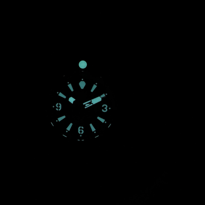 STEELDIVE Official SD1948S Solid Bronze 1000M Waterproof NH35  Dive Watch