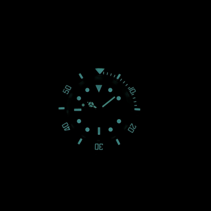 STEELDIVE Official SD1953 New Arrival Black Dial Red Bezel 300M NH35 Automatic Dive Watch