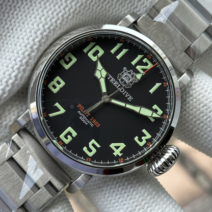 STEELDIVE Official SD1903 Dive Watch