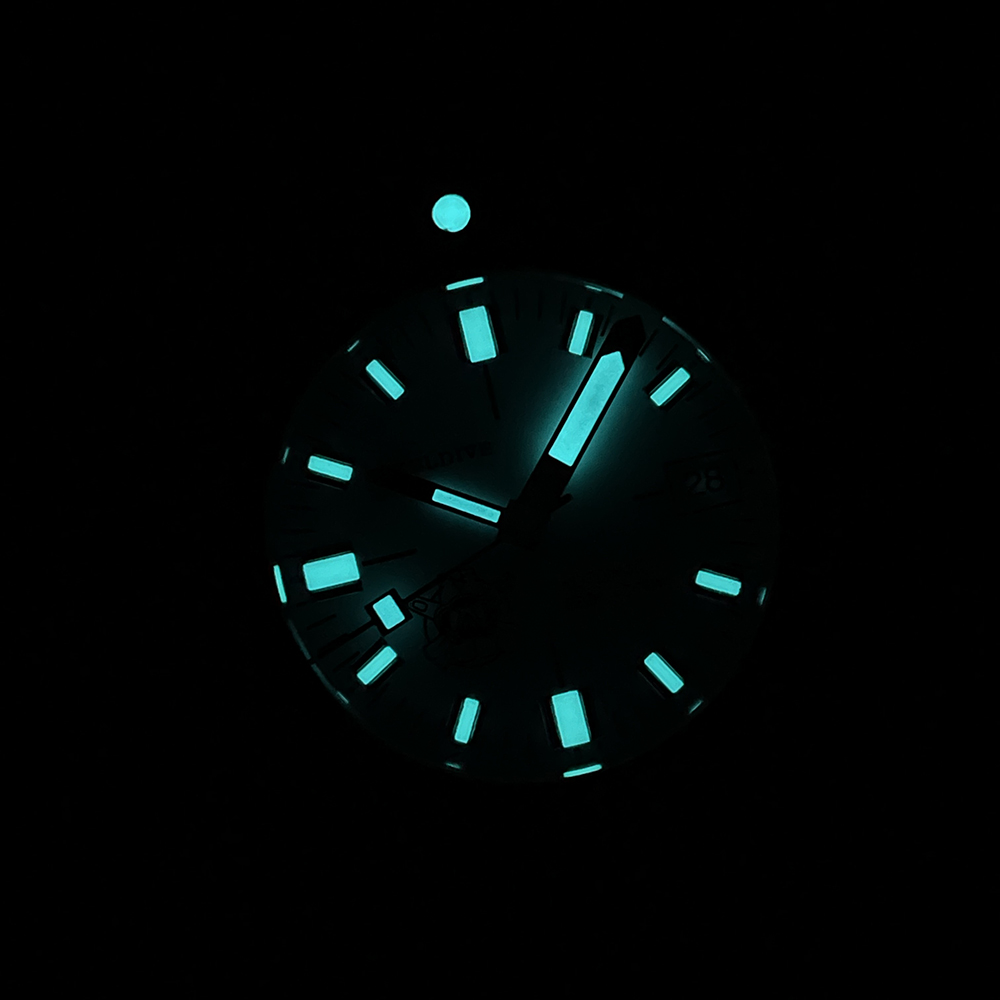 STEELDIVE Official SD1967 200M Waterproof 43mm Case Sapphire Glass NH35 Automatic Movement Mens Dive Watch