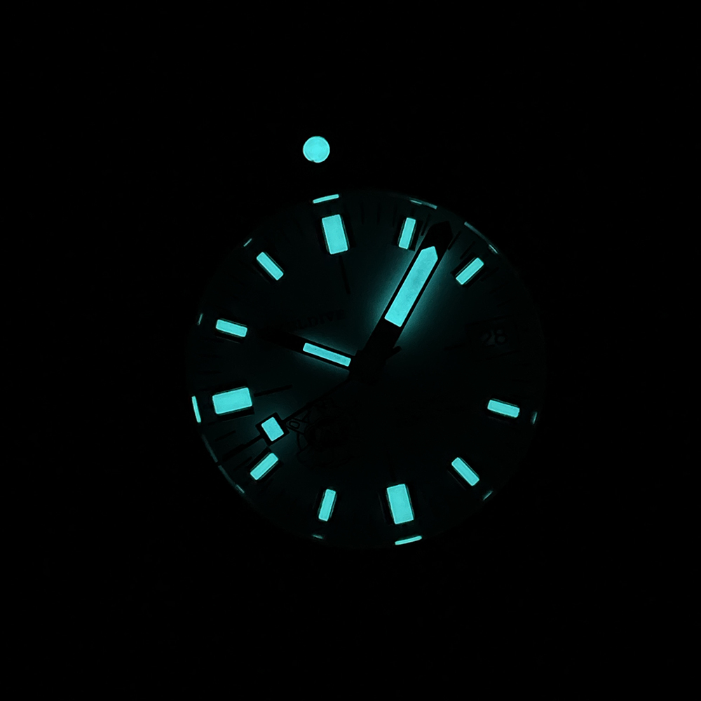 STEELDIVE Official SD1967 200M Waterproof 43mm Case Sapphire Glass NH35 Automatic Movement Mens Dive Watch