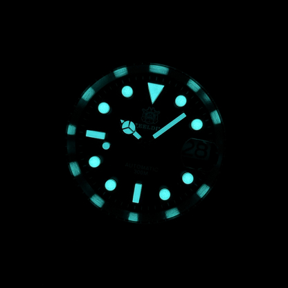 STEELDIVE Official SD1953T 300M Waterprof Japan NH35 Automatic Mens Watch