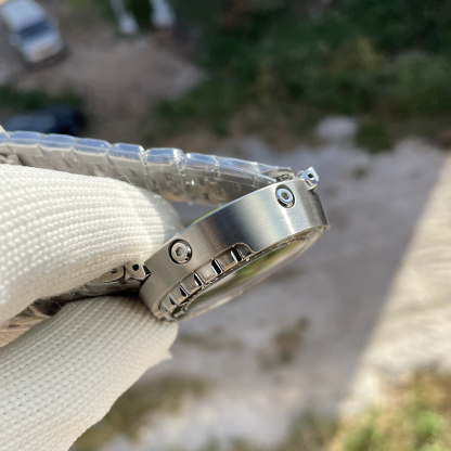 STEELDIVE Official SD1975 Dive Watch