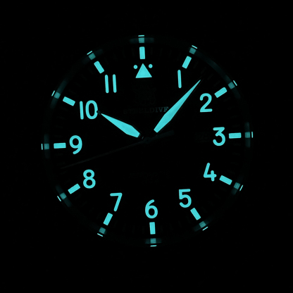 STEELDIVE Official SD1930 Date Function 43MM 200M Waterproof Sapphire Glass NH35 Automatic Movement Mens Dive Watch