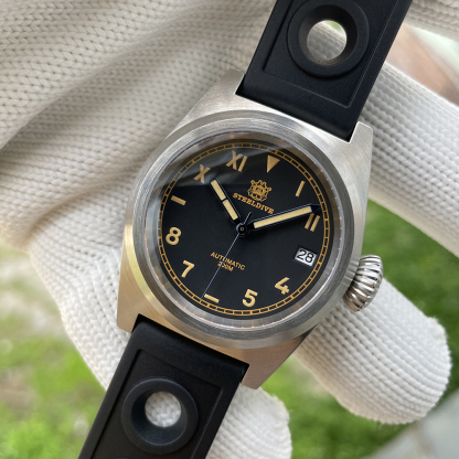STEELDIVE Official SD1904 38MM NH35 Automatic 200M Dive Watch