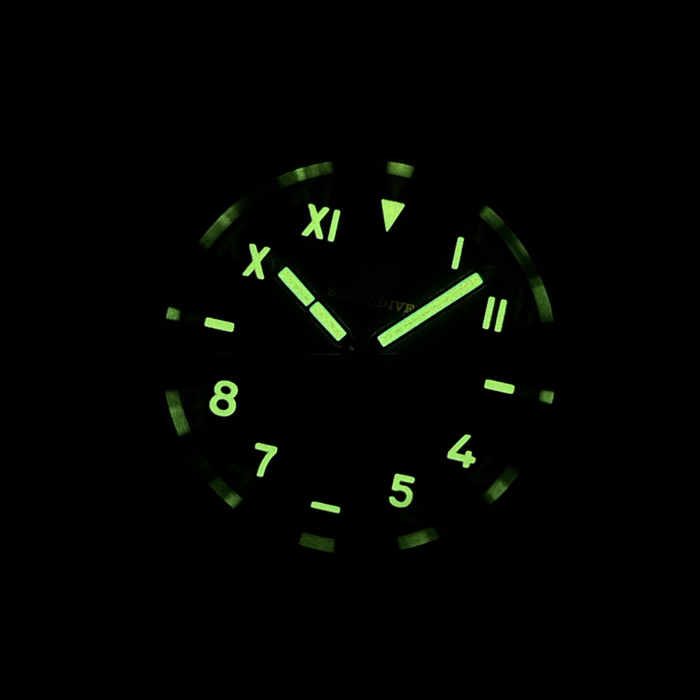 STEELDIVE Official SD1904 38MM NH35 Automatic 200M Dive Watch