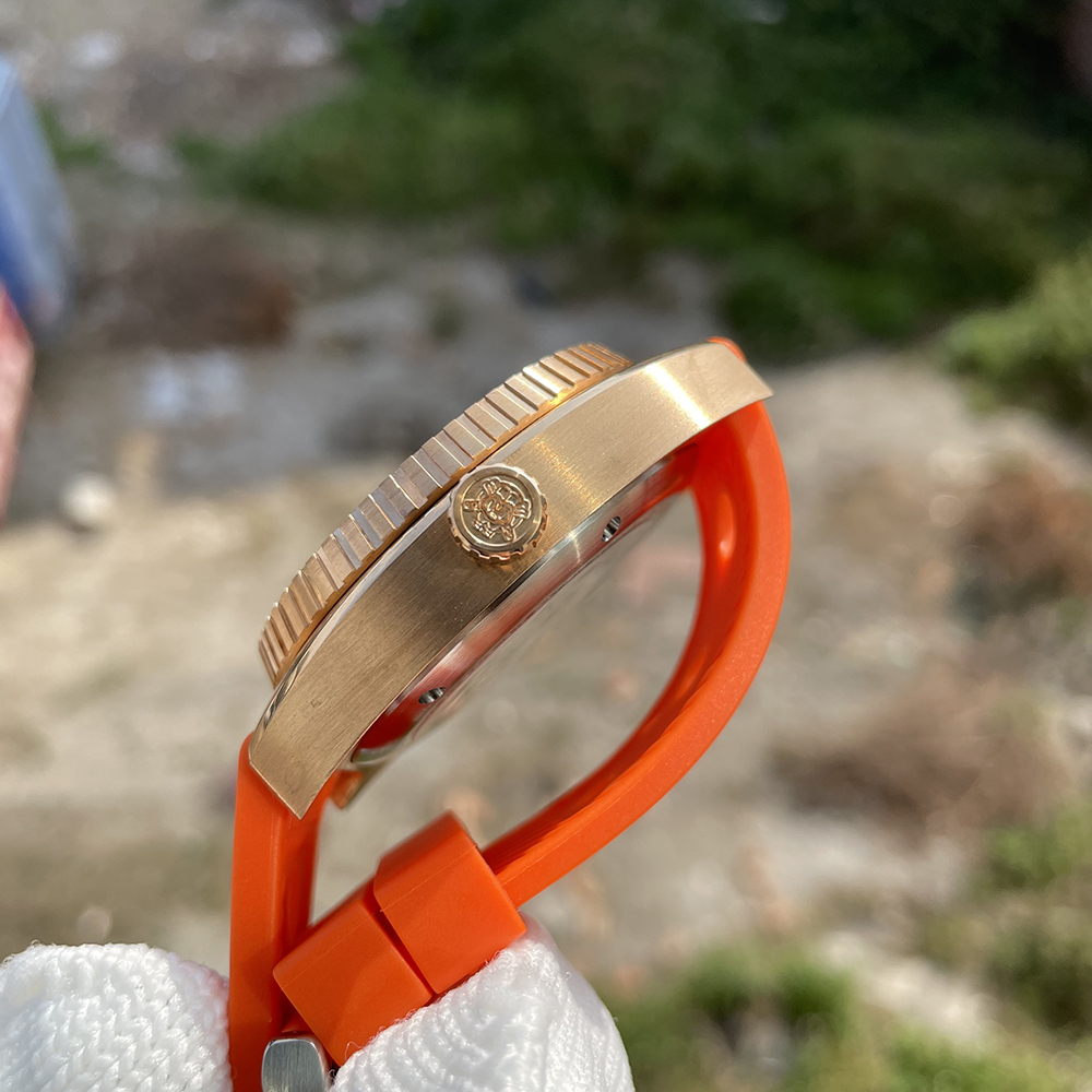 STEELDIVE Official SD1941S Black Dial 500M Waterproof Sapphire Glass NH35 Automatic Movement Mens Dive Watch