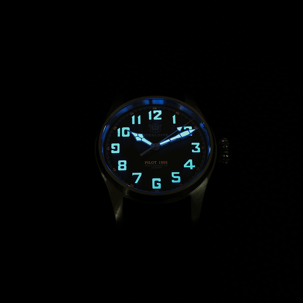 STEELDIVE Official SD1928V Swiss Luminous 39MM NH35 Automatic Movement Dive Watch for Men
