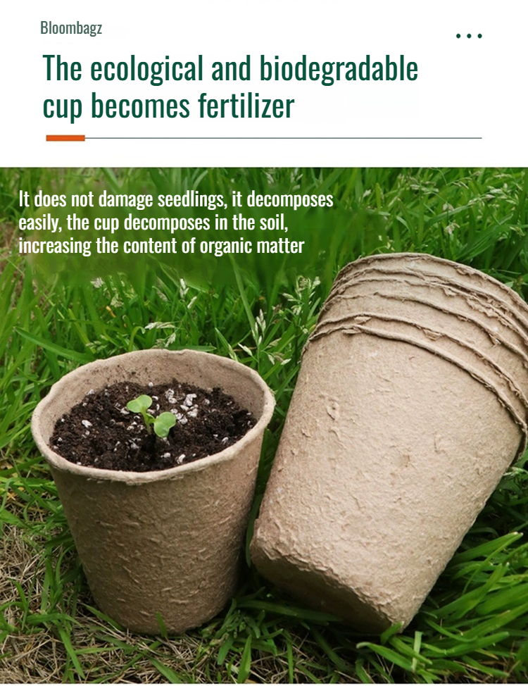 Eco-Conscious Seed Starting with Pulp Planter Pots