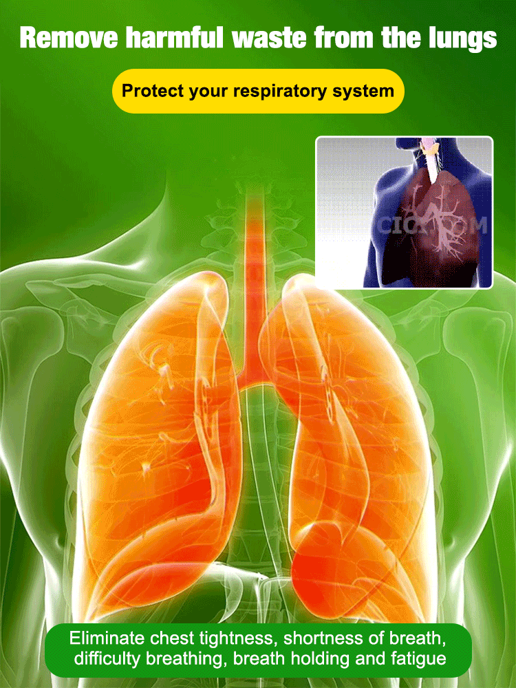 The formaldehyde-fighting, air-purifying Giant Elephant Ear Plant. For less than a meal out, delivered today, and guaranteed to thrive