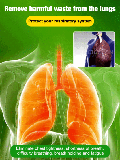 The formaldehyde-fighting, air-purifying Giant Elephant Ear Plant. For less than a meal out, delivered today, and guaranteed to thrive