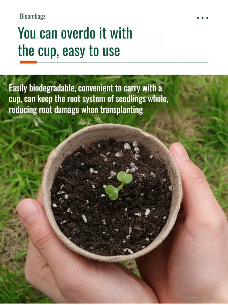 Ecofriendly Seedling Pulp Planter