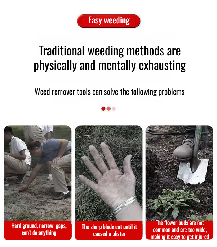 Gardening Rooted Weeding Tool Set with Rake, Weeder, and Hoe