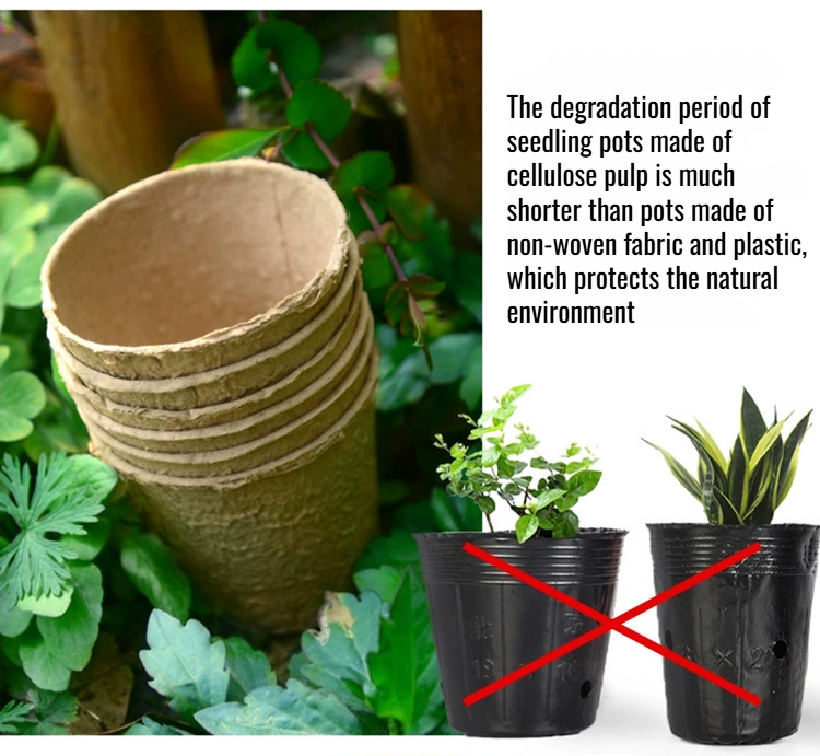 Zero Waste Gardening with Seedling Pulp Planters