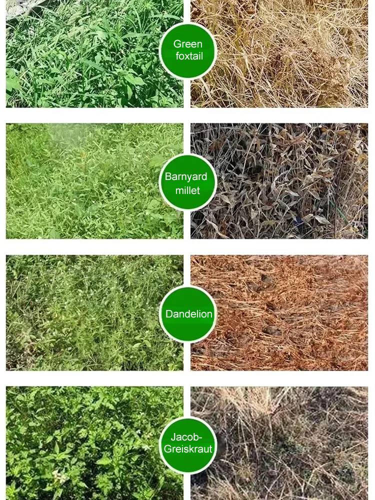 【Keeps weeds away for 5 years】 One bottle is enough to cover a yard area of up to 2500 sq. ft., offering incredible value. Get it now at a special price, for less than the cost of a meal!