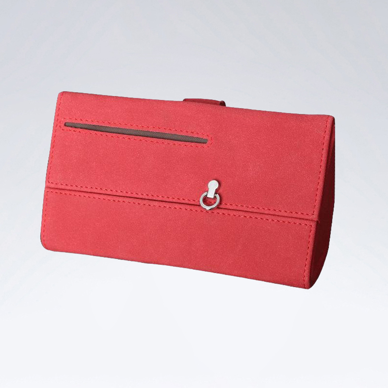 Brillenetui für Autos