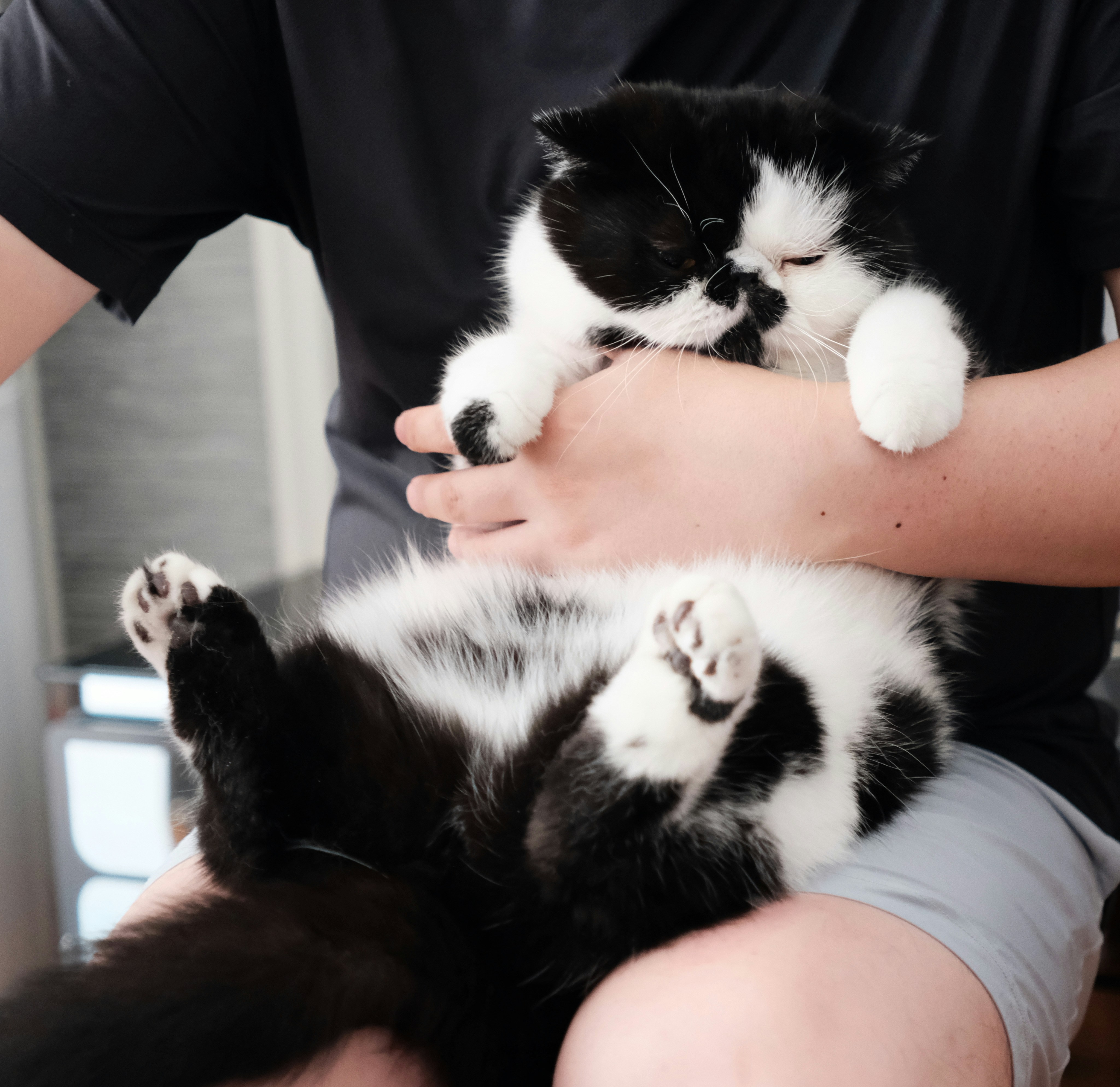 kris tian OCoR ei Yos unsplash