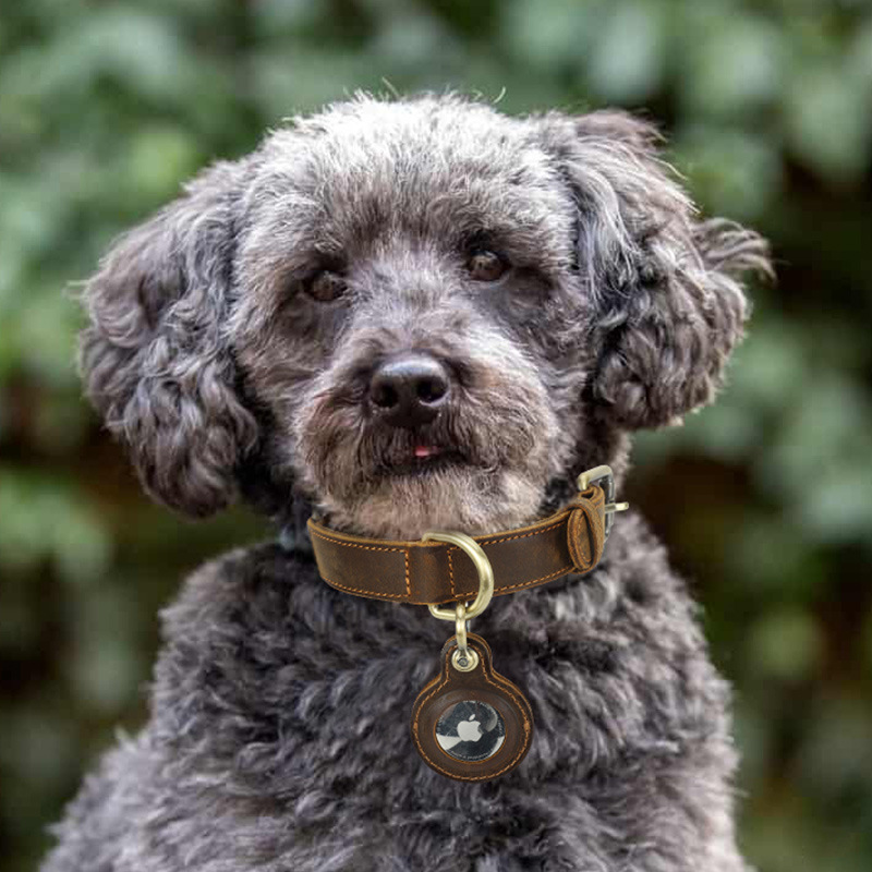Vintage Leather Dog Collar with AirTag Slot - Double-Layer Tracker