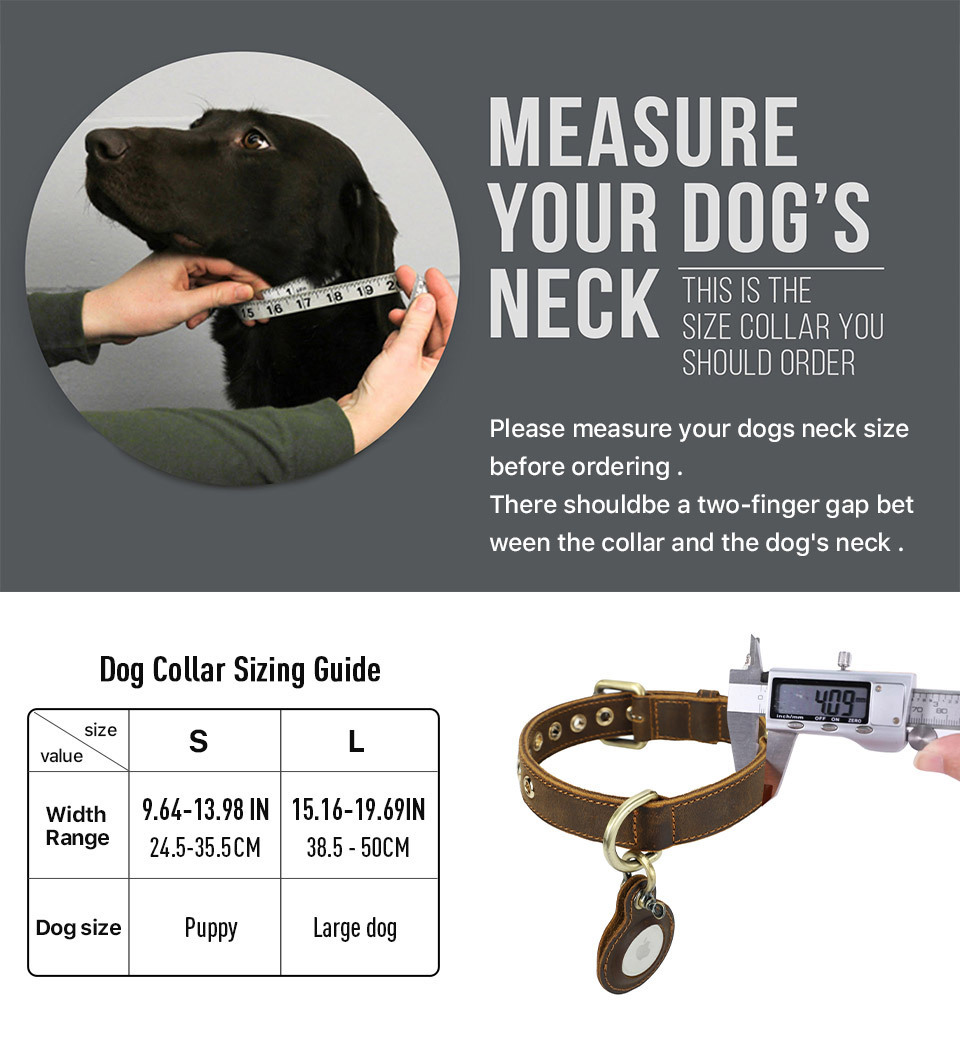 Vintage Leather Dog Collar with AirTag Slot - Double-Layer Tracker