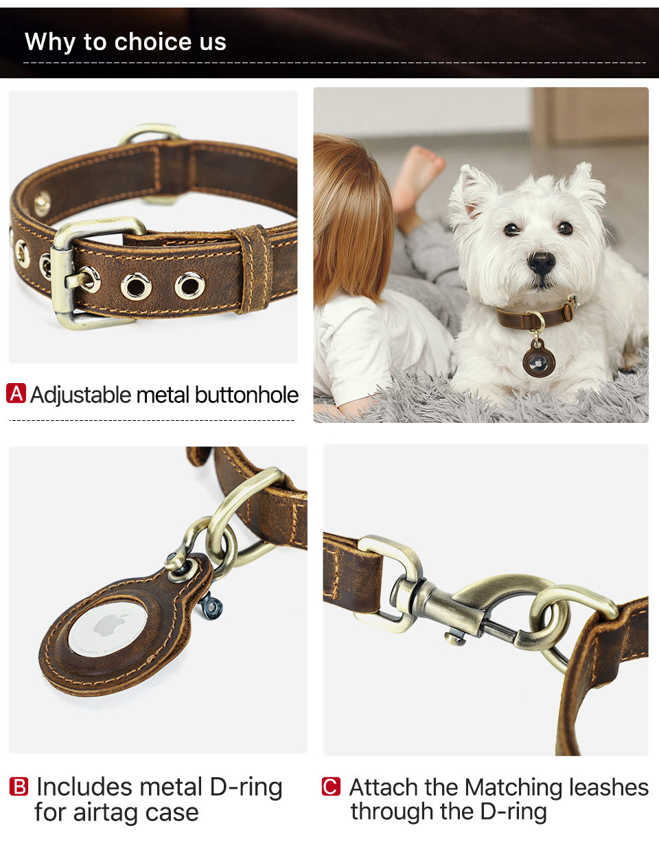 Vintage Leather Dog Collar with AirTag Slot - Double-Layer Tracker