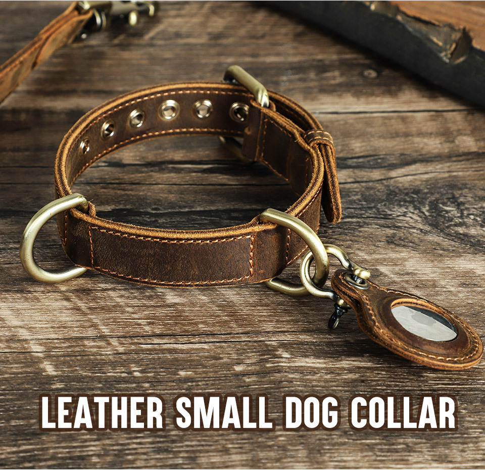 Vintage Leather Dog Collar with AirTag Slot - Double-Layer Tracker