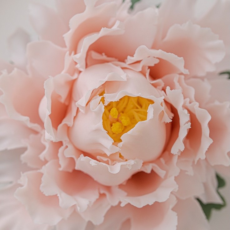 Handmade Common Peony Ceramic Flowers Aromatherapy Set, High-End Home Fragrance Ornaments, Best Valentine's Day, anniversary, Mother's Day Gifts
