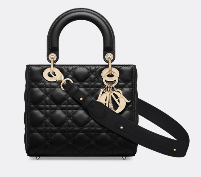 Small Lady Dior My ABCDior Bag