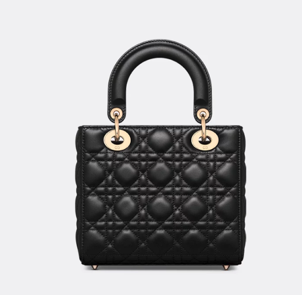 Small Lady Dior My ABCDior Bag