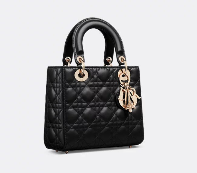 Small Lady Dior My ABCDior Bag