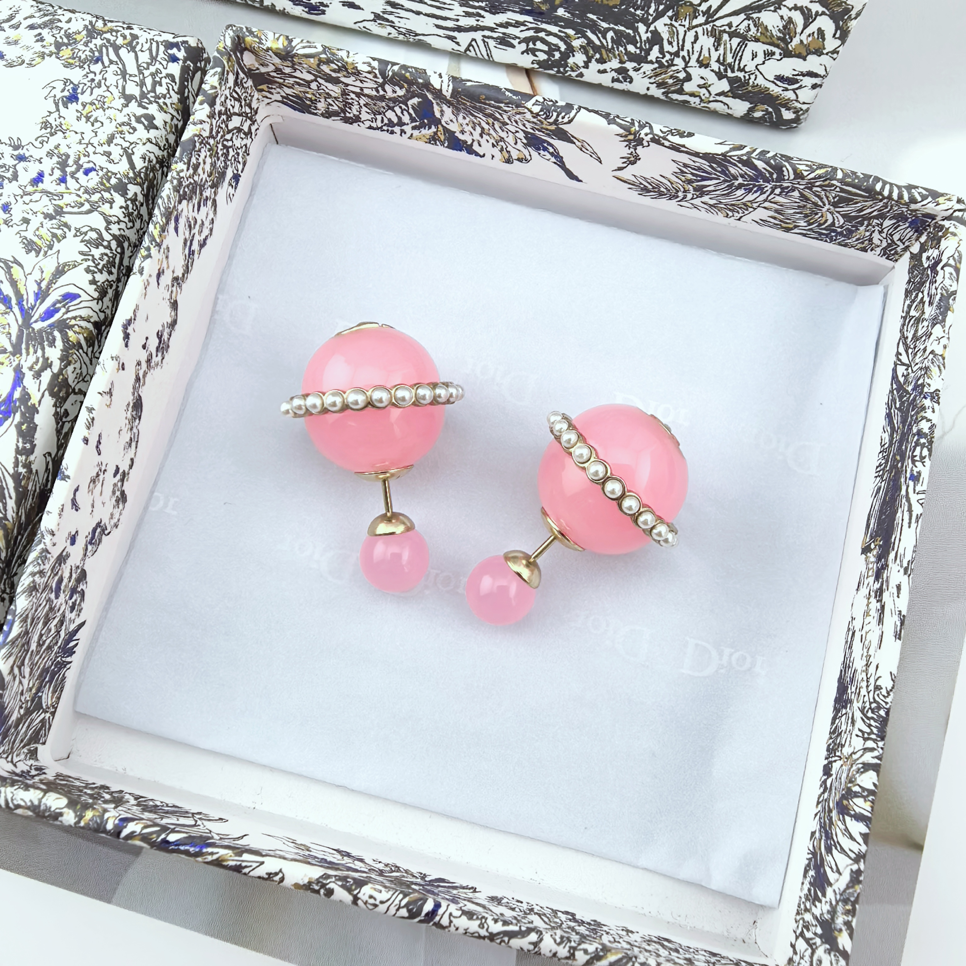 Dior Earrings