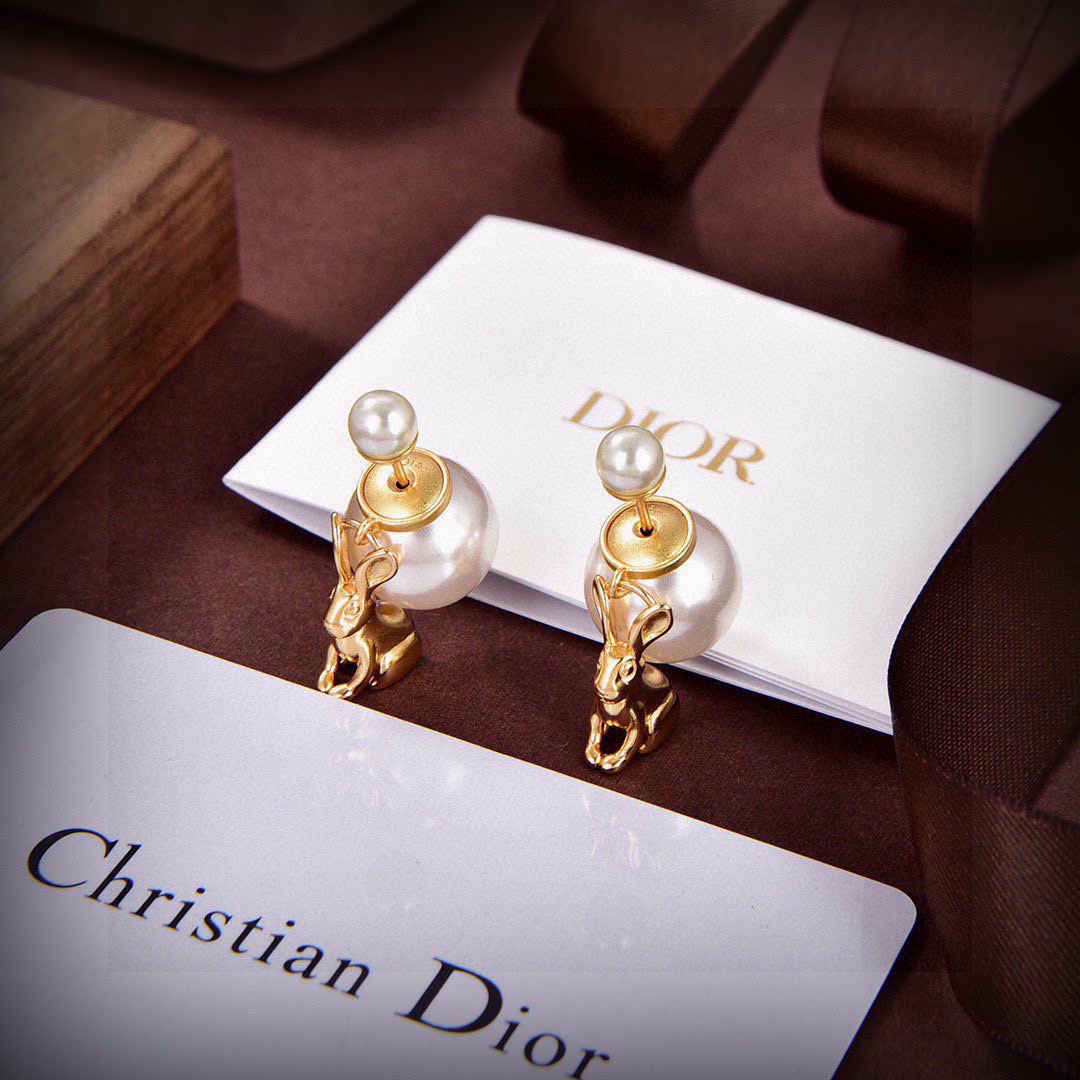Dior Earrings