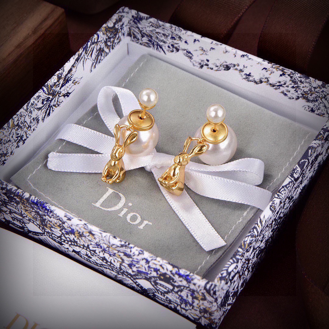Dior Earrings