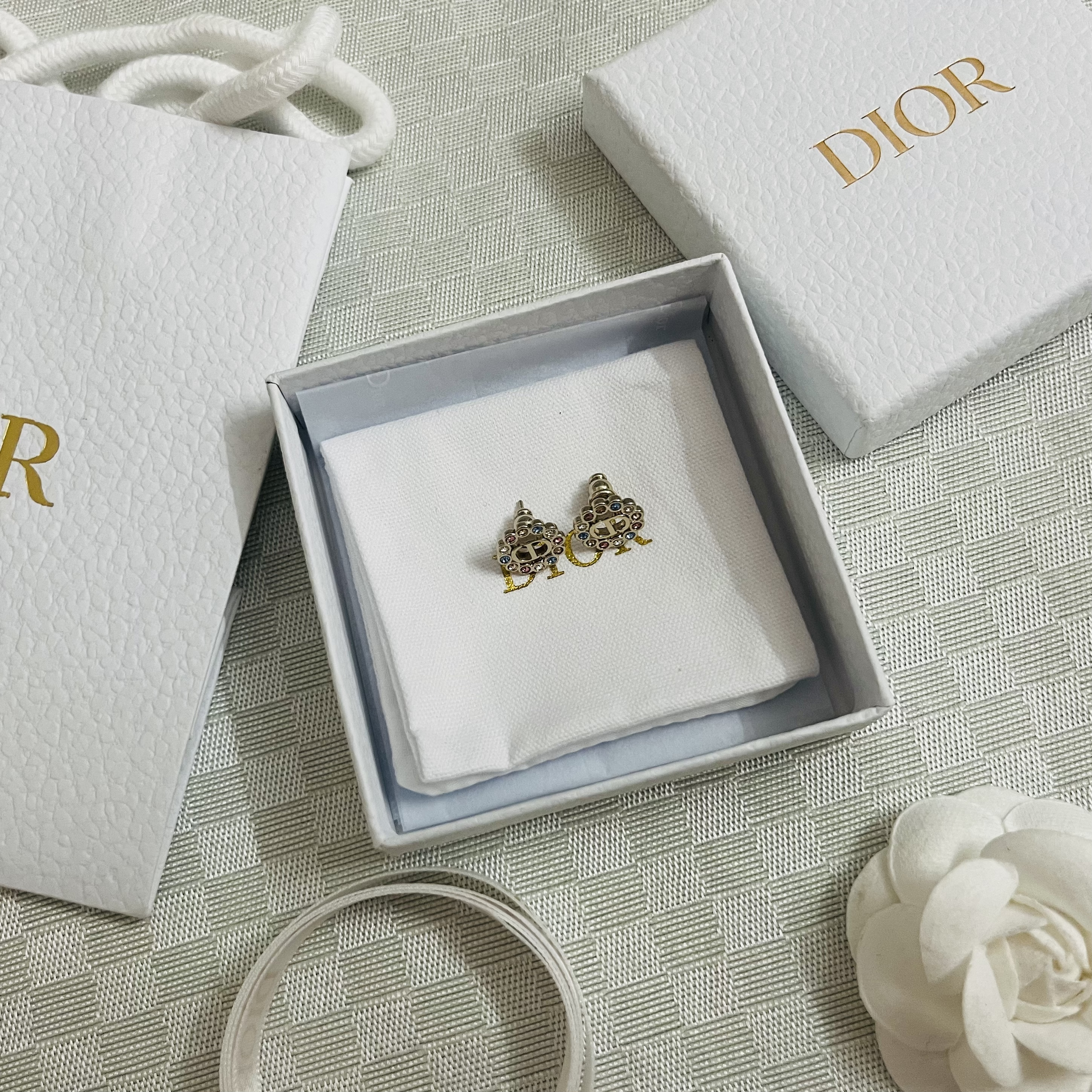 Dior Earrings